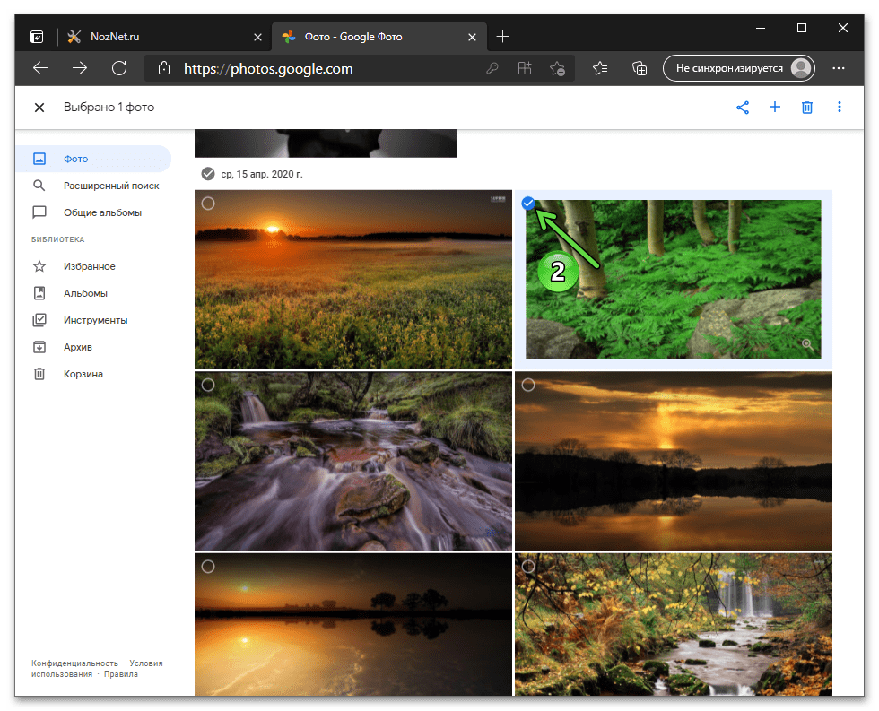 Google Фото выбор фотографии для сохранения на диске ПК в веб-версии сервиса