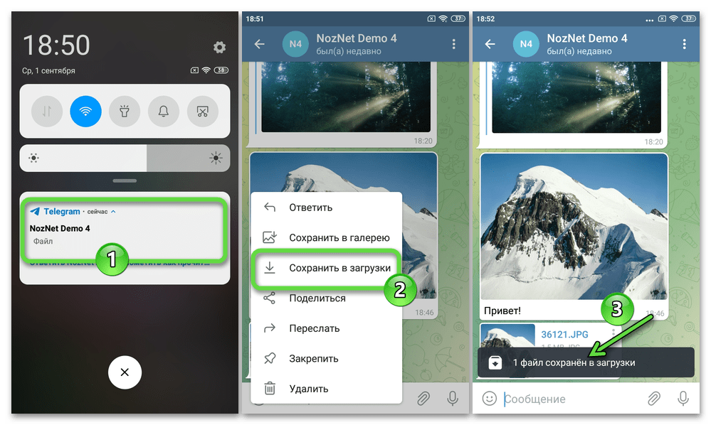 Telegram для Android скачивание отправленной без сжатия фотографии из мессенджера в память устройства